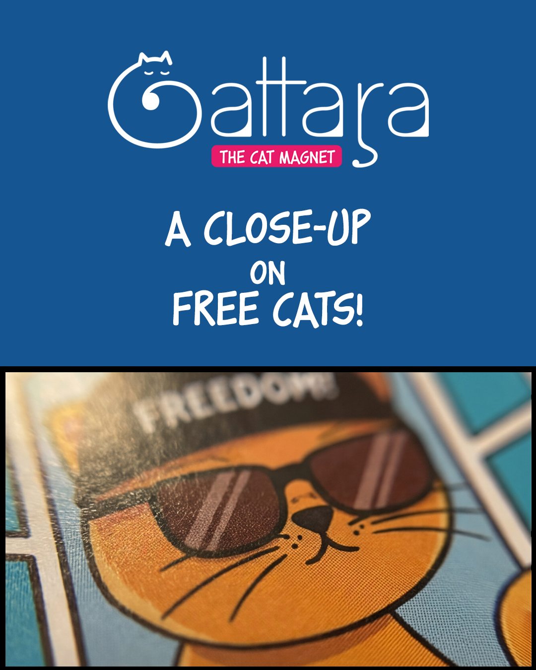 Freedom... That’s the dream! 🕶️ 🐈...