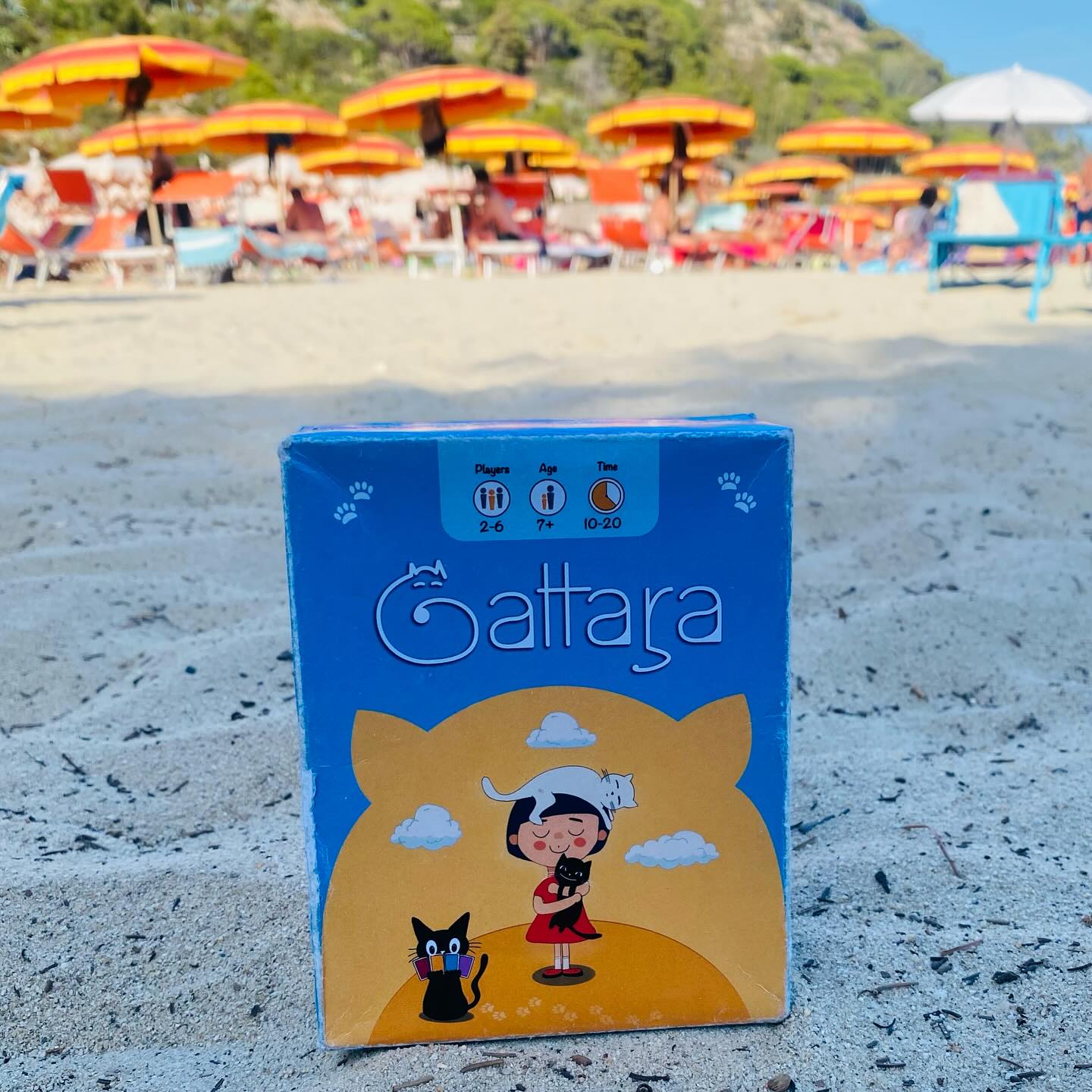 🌞🏖️ Gattara on the beach! 🐱🎴...